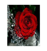 Digital Oil Painting Diy Hanging Painting Decorative Painting Hand-painted